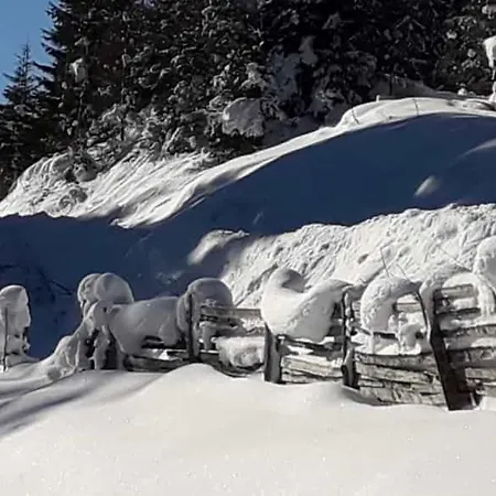 Jasmin ノイシュティフト・イム・シュトゥーバイタール